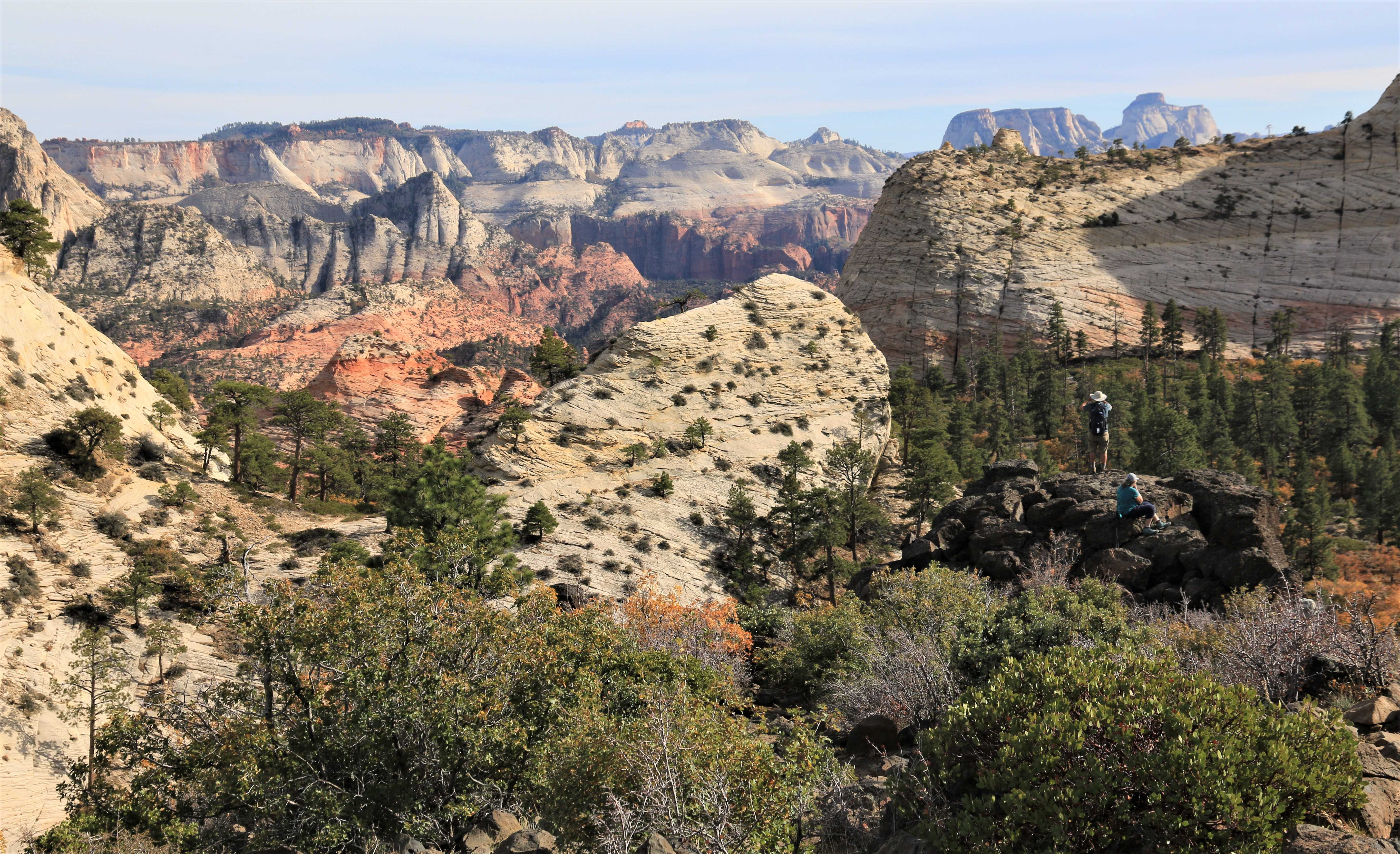 Zion NP